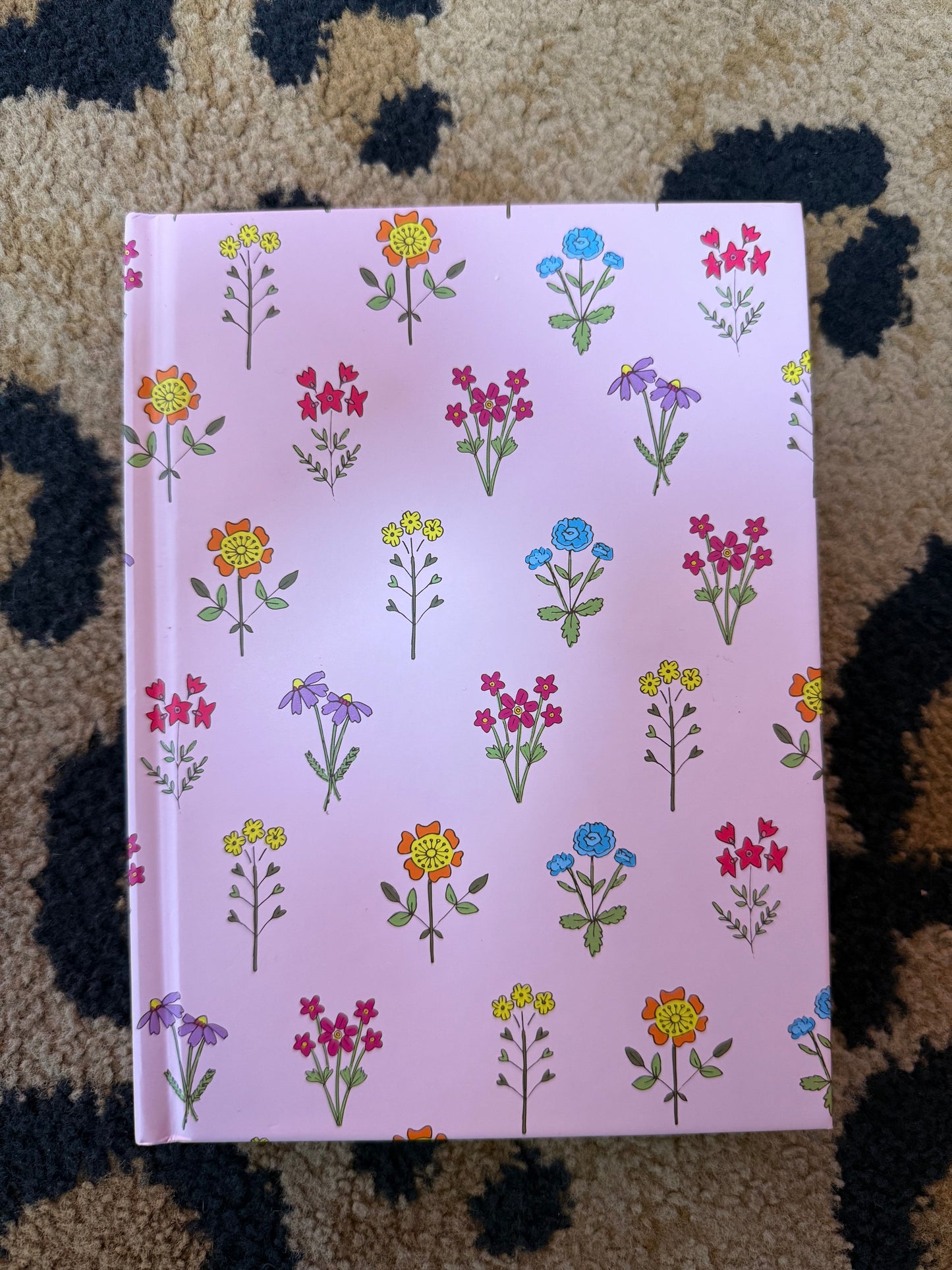 Taylor Elliot Notebooks